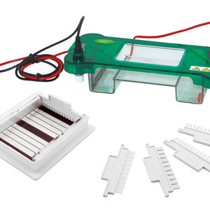 Eletroforese Horizontal YG1565