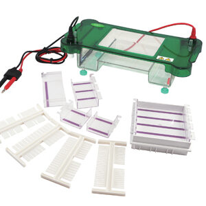Eletroforese Horizontal YG1566