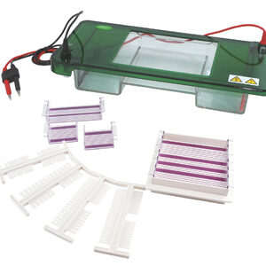 Eletroforese Horizontal YG1568