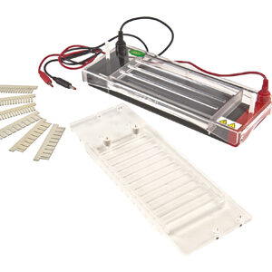 Eletroforese Horizontal YG1571